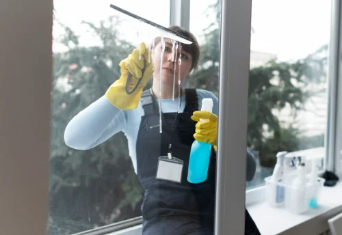 Nettoyage de vitres intérieures et extérieures à Gumery